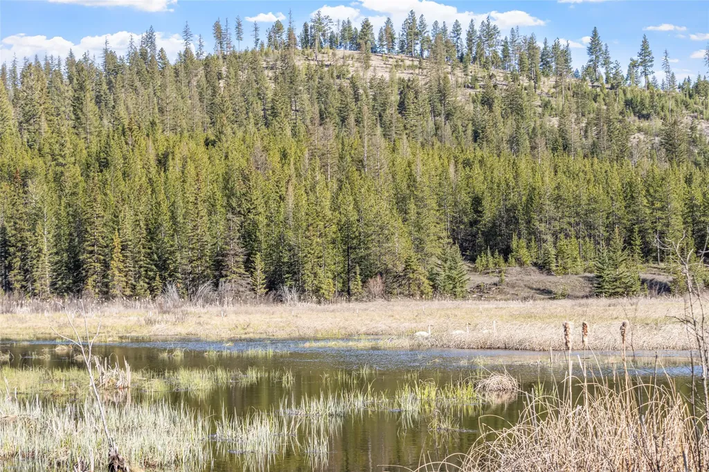 1500 Hodge Creek Road Kila MT 59920