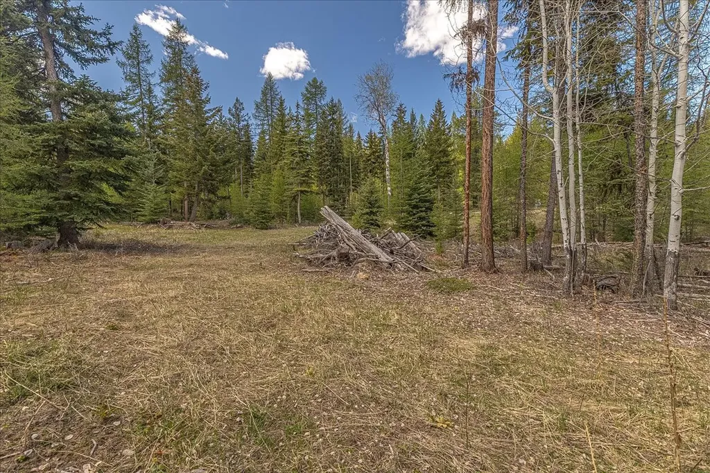 311 Bear Trap Road Rexford MT 59930