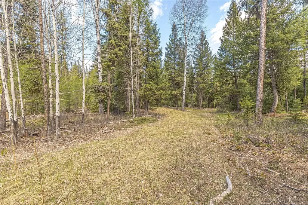 311 Bear Trap Road Rexford MT 59930