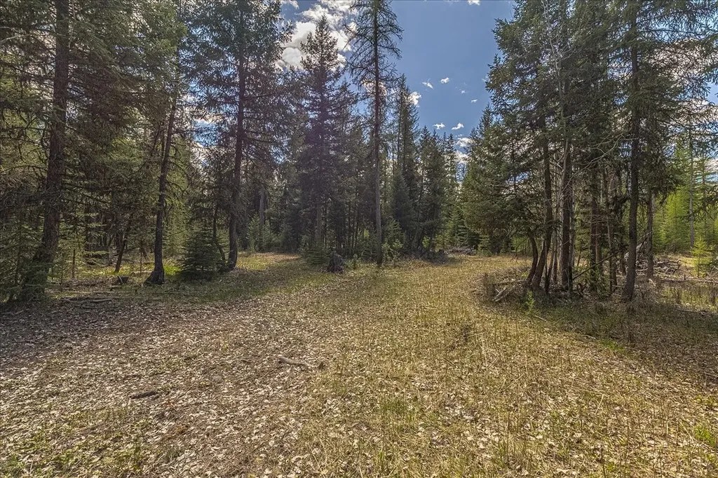 311 Bear Trap Road Rexford MT 59930