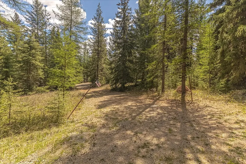 311 Bear Trap Road Rexford MT 59930