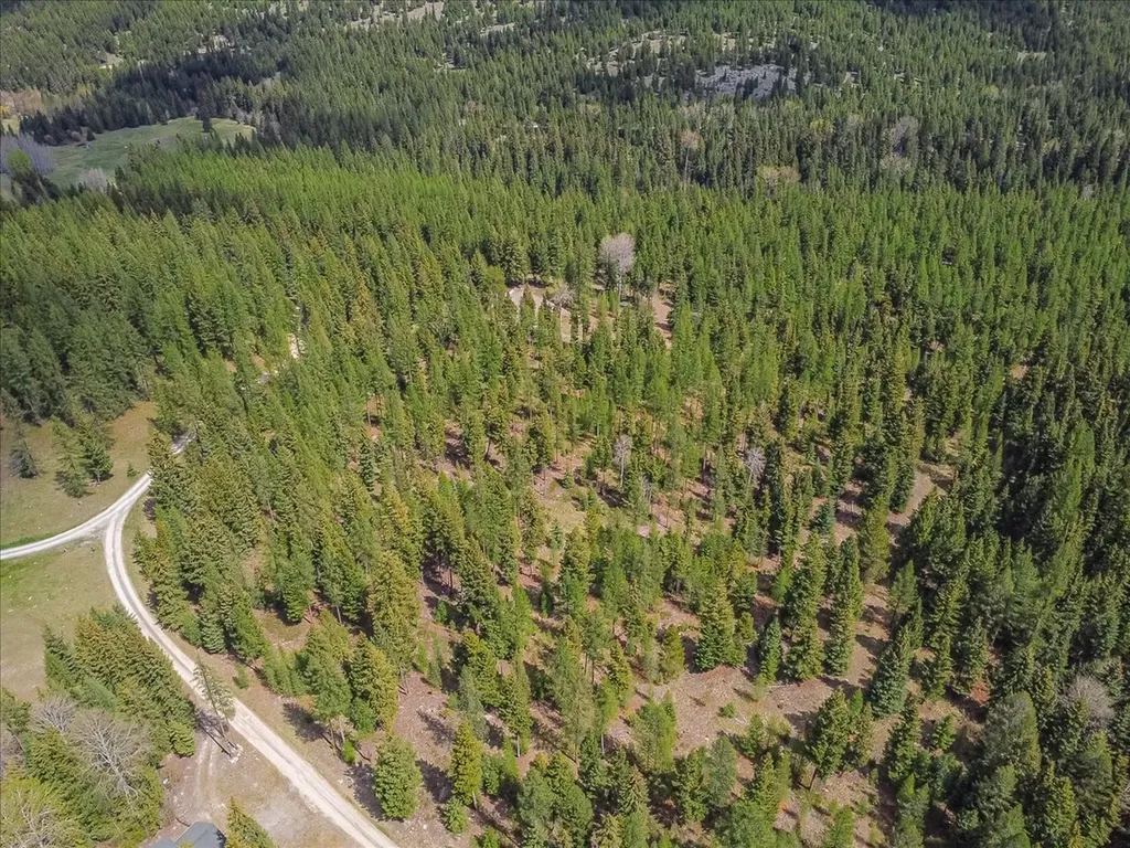 311 Bear Trap Road Rexford MT 59930