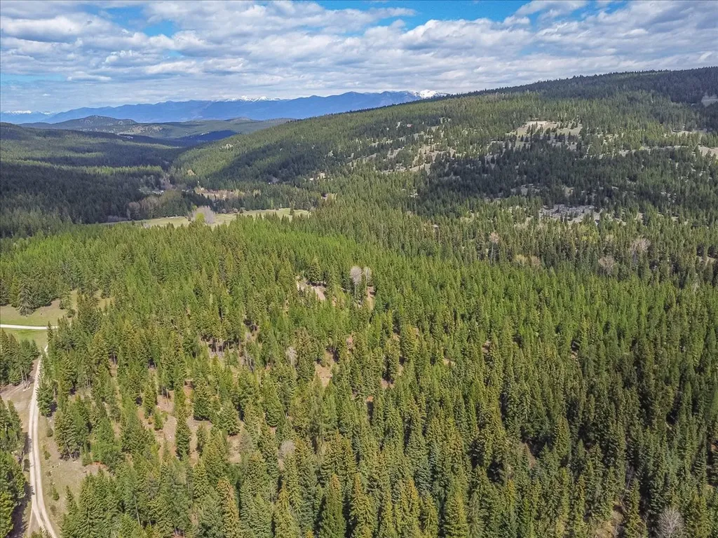 311 Bear Trap Road Rexford MT 59930