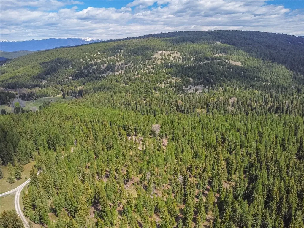 311 Bear Trap Road Rexford MT 59930