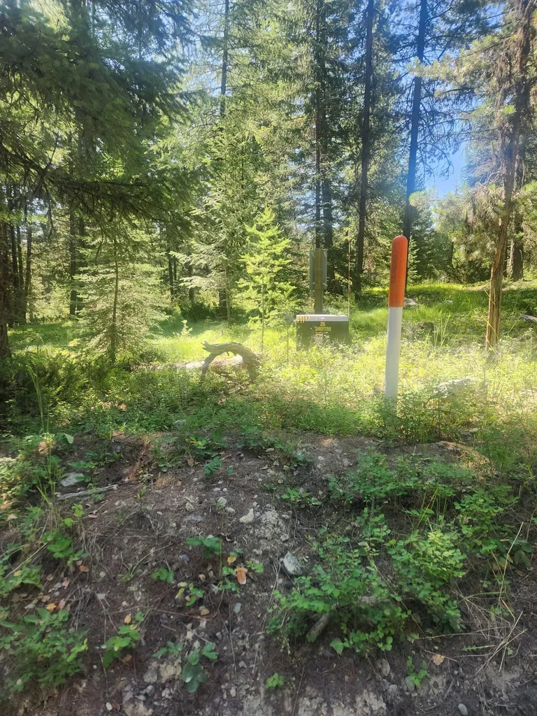 311 Bear Trap Road Rexford MT 59930
