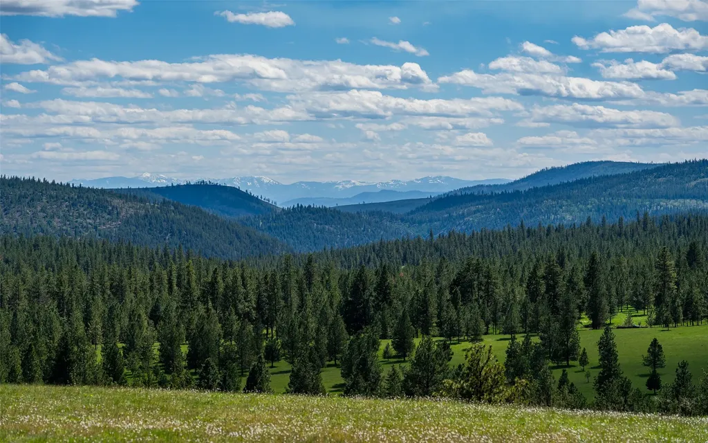 3145 Hubbart Dam Road Marion MT 59925