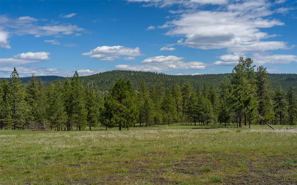 3145 Hubbart Dam Road Marion MT 59925