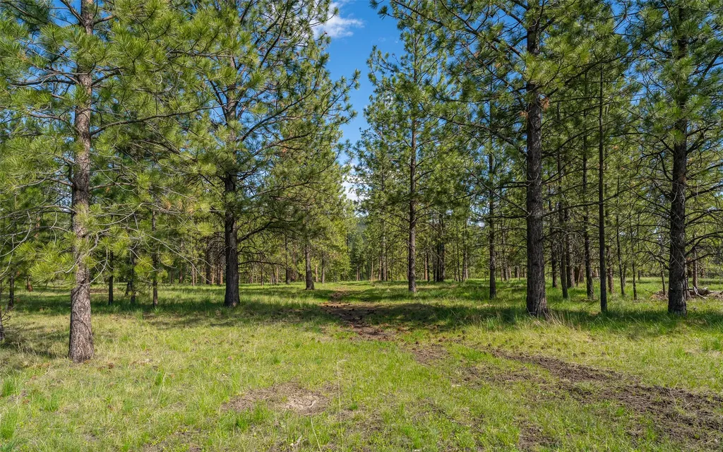 3145 Hubbart Dam Road Marion MT 59925