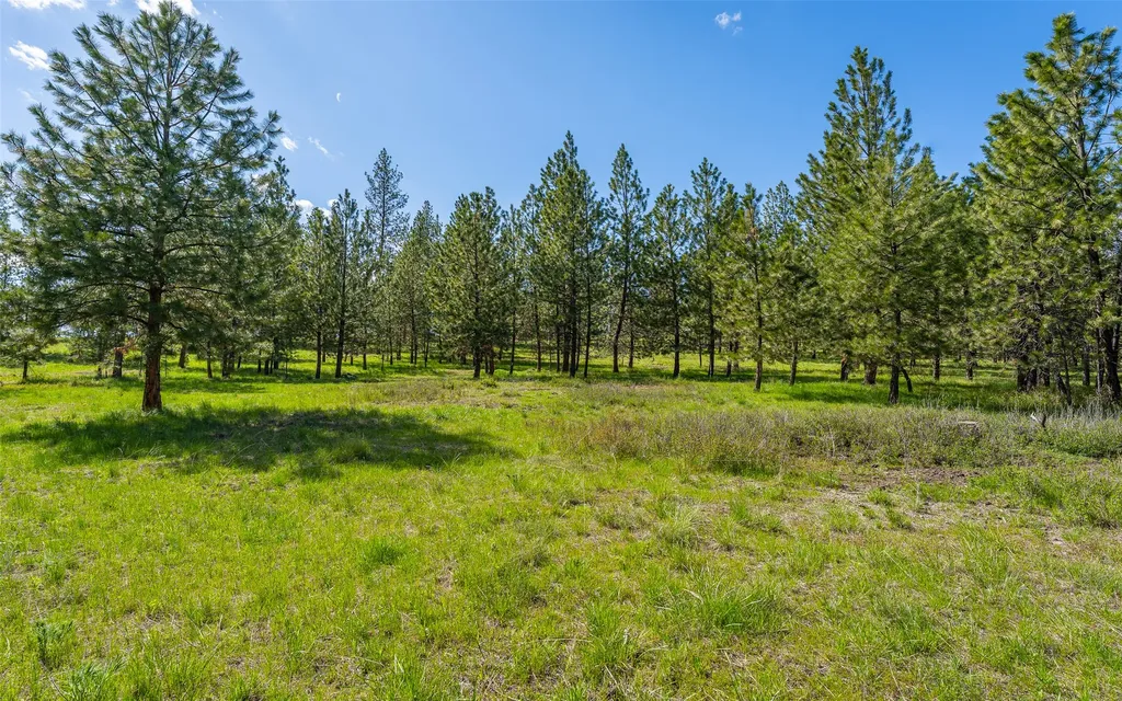 3145 Hubbart Dam Road Marion MT 59925