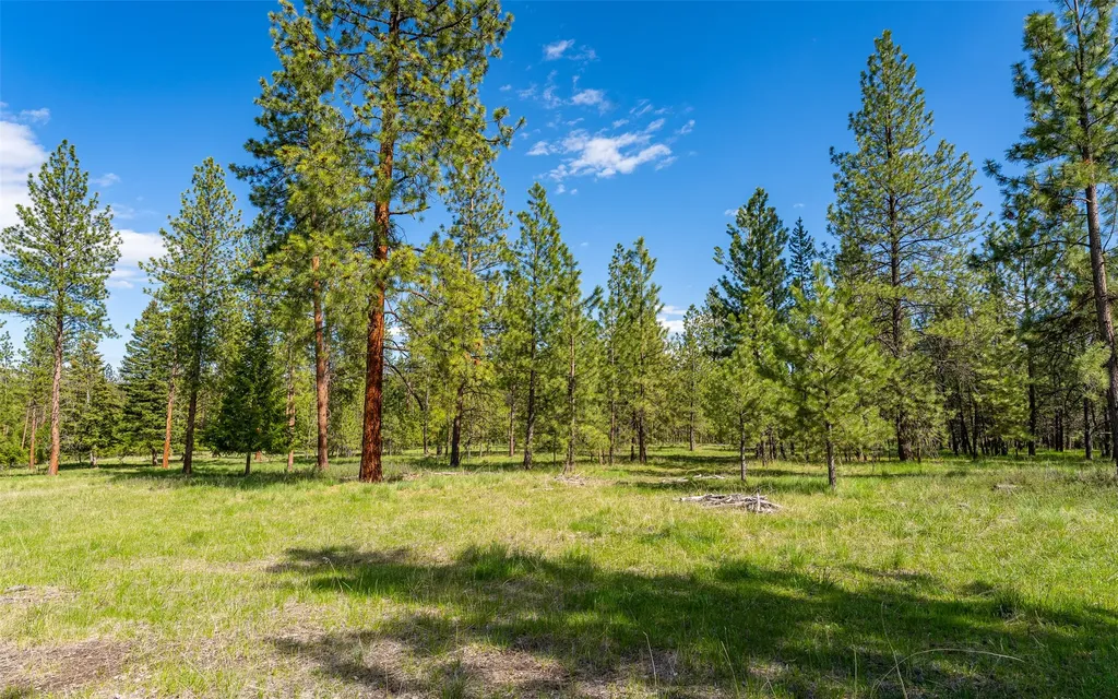 3145 Hubbart Dam Road Marion MT 59925