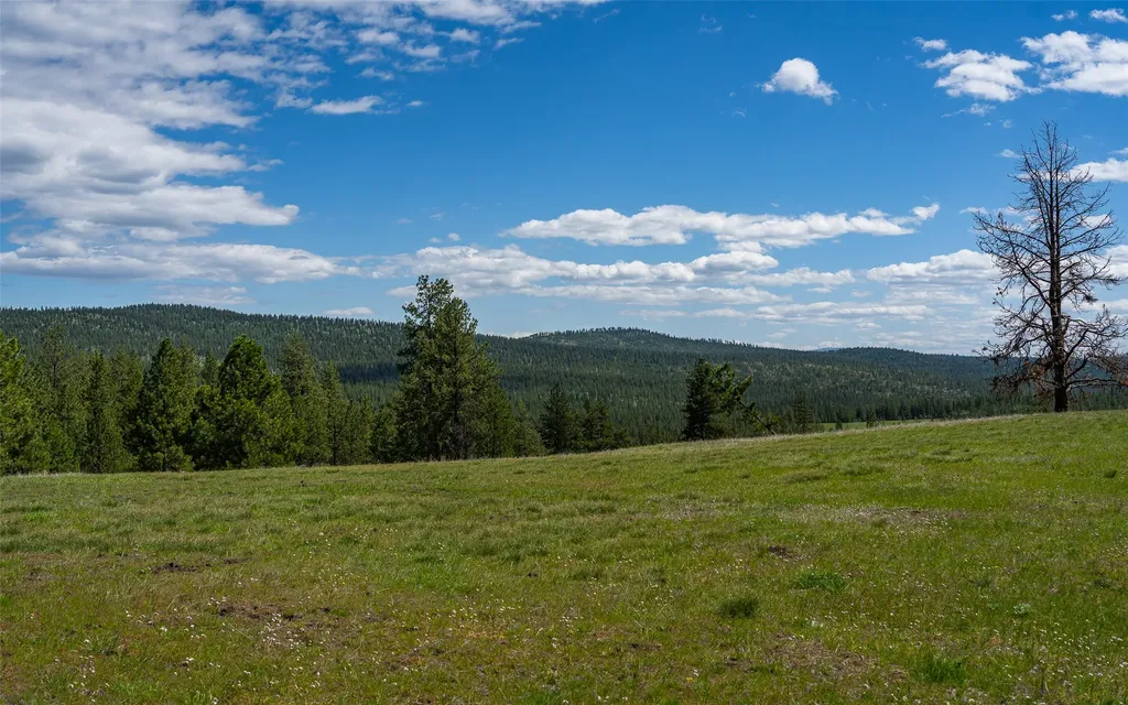 3145 Hubbart Dam Road Marion MT 59925
