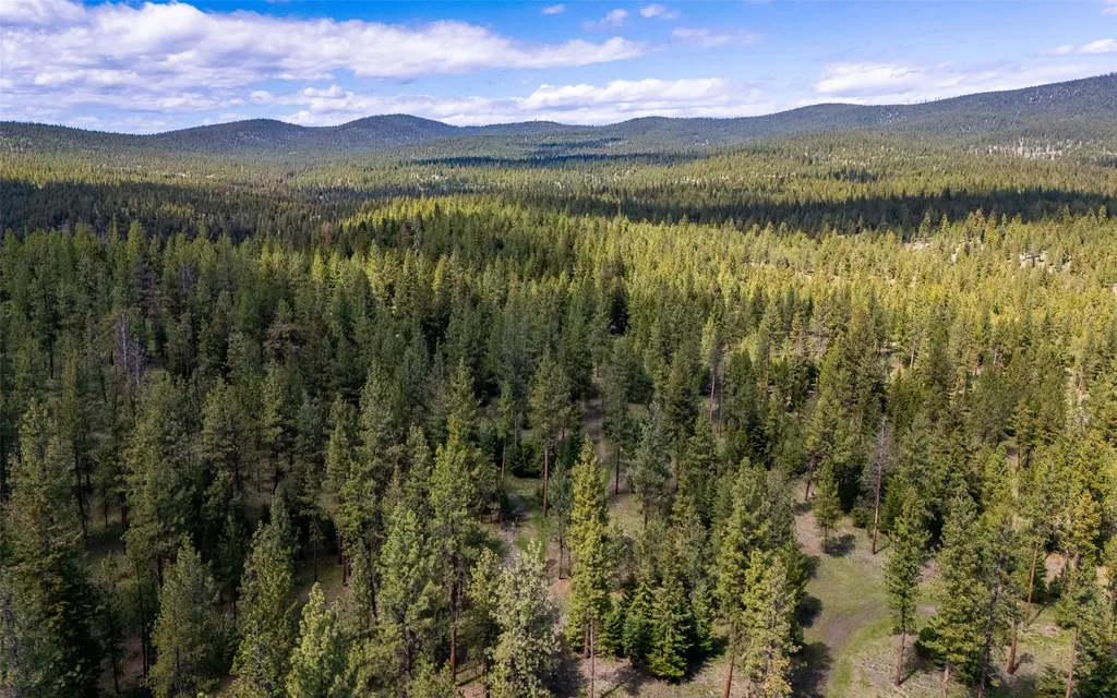 3605 Hubbart Dam Road Marion MT 59925