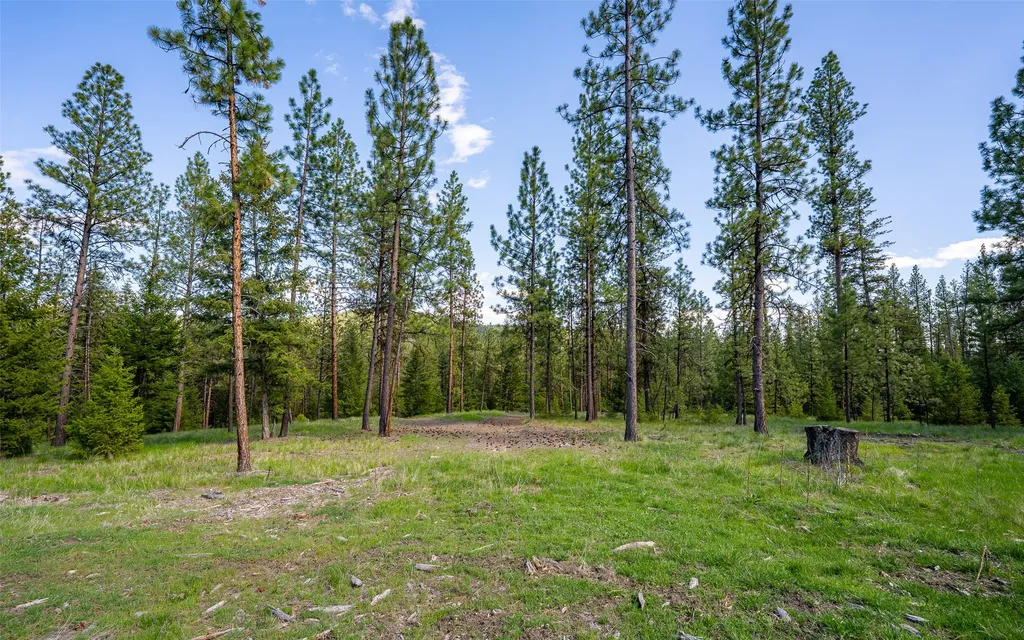 3605 Hubbart Dam Road Marion MT 59925