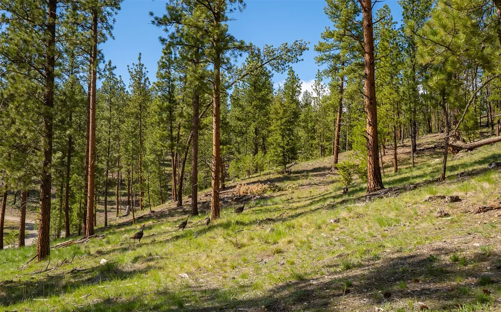 3605 Hubbart Dam Road Marion MT 59925