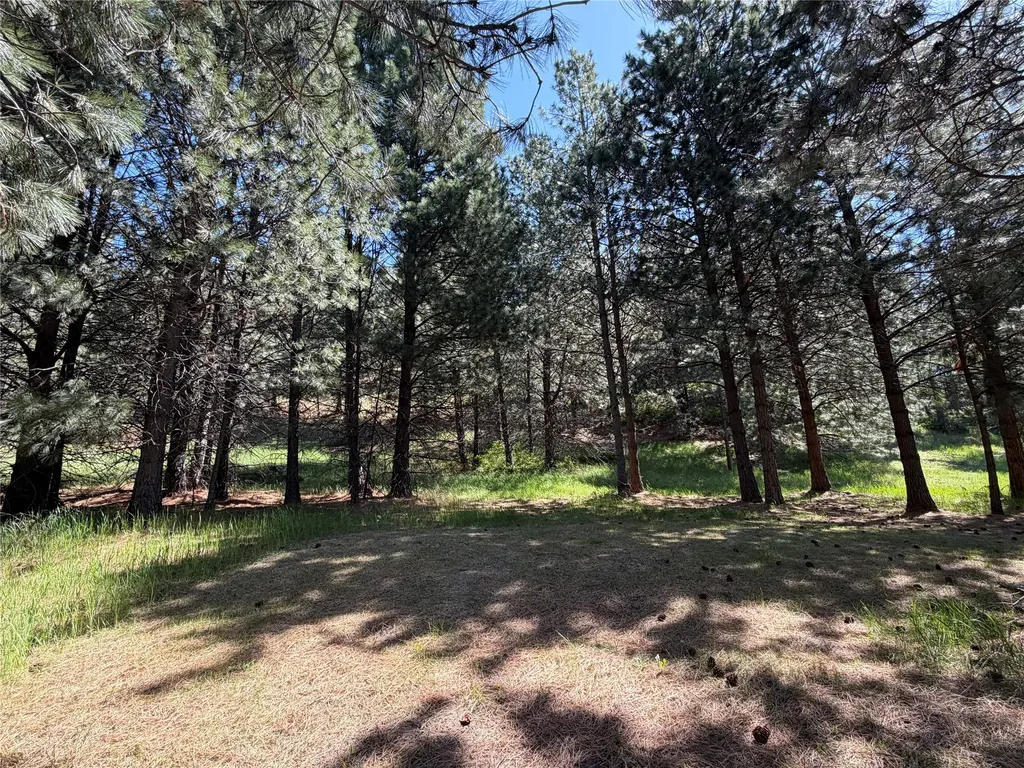 Tbd Mt Highway 35 Polson MT 59860