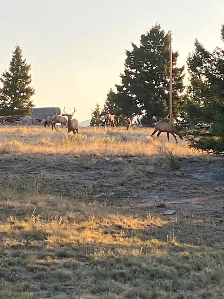 884 Wapiti Mountain Road Butte MT 59701