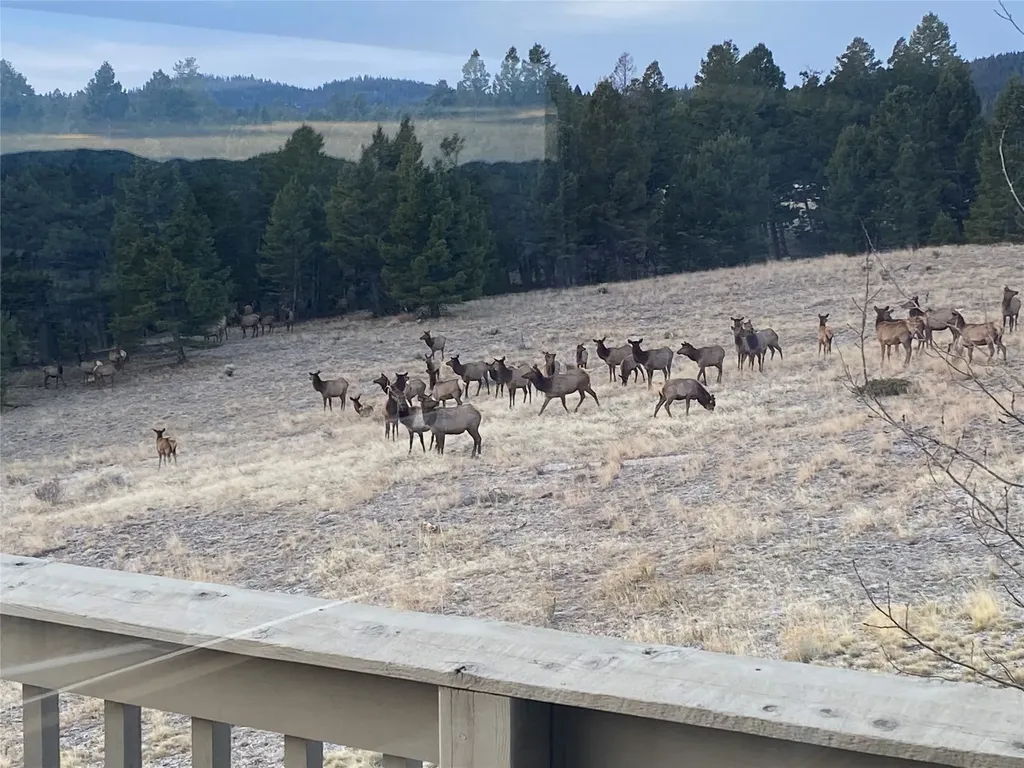 884 Wapiti Mountain Road Butte MT 59701