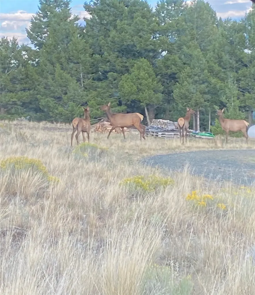 884 Wapiti Mountain Road Butte MT 59701