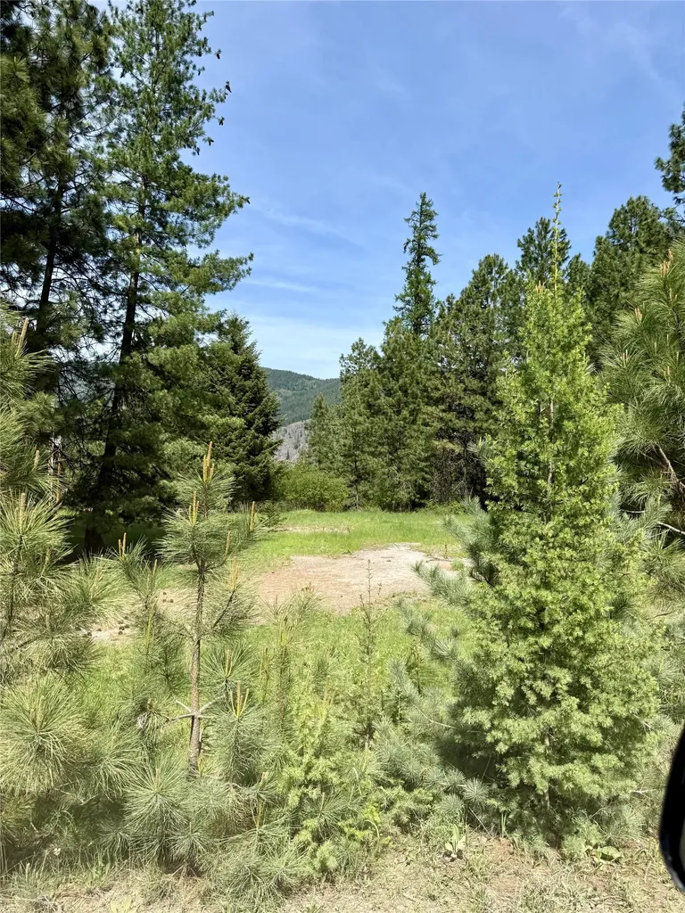 7 & Nhn Old Cottonwood Lane Trout Creek MT 59874