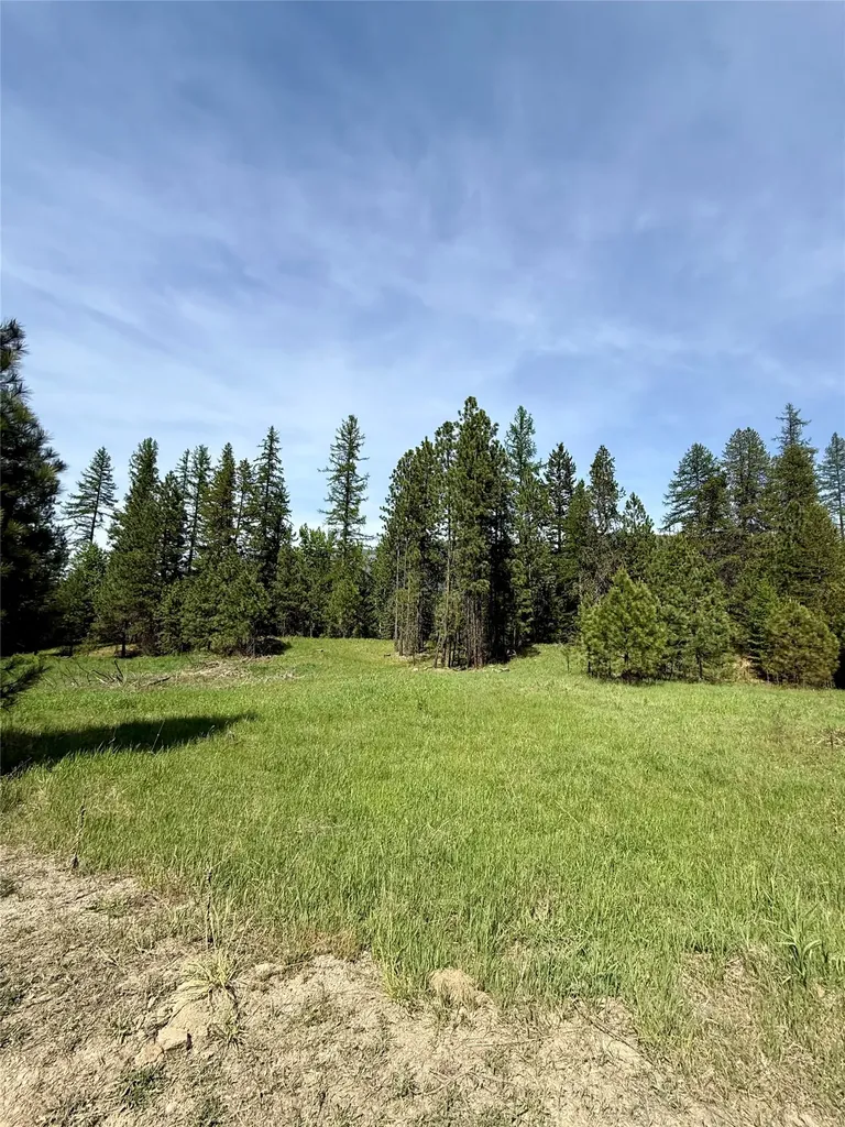 7 & Nhn Old Cottonwood Lane Trout Creek MT 59874