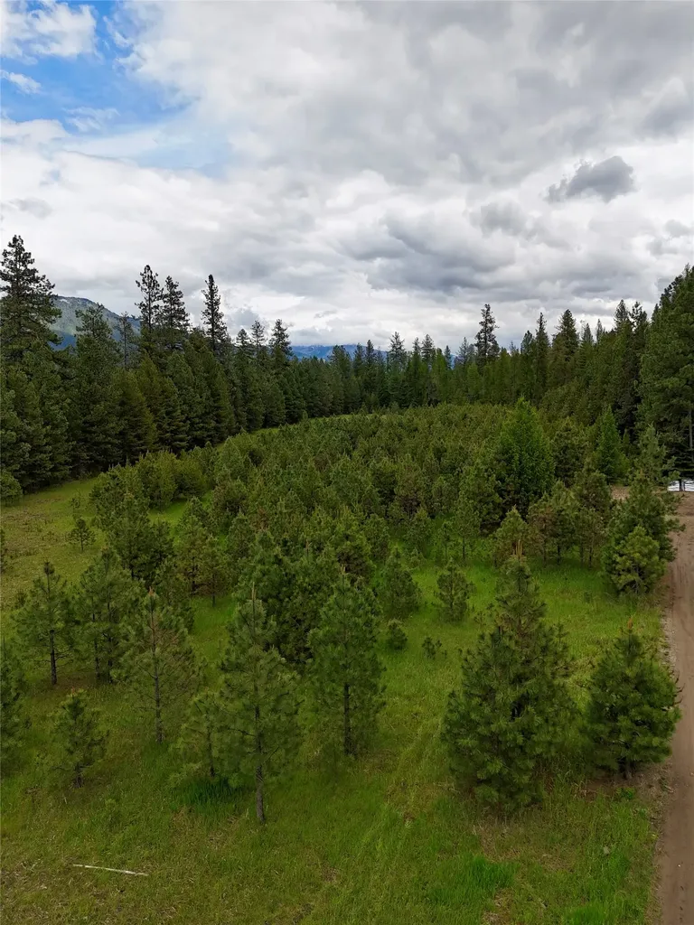 7 & Nhn Old Cottonwood Lane Trout Creek MT 59874