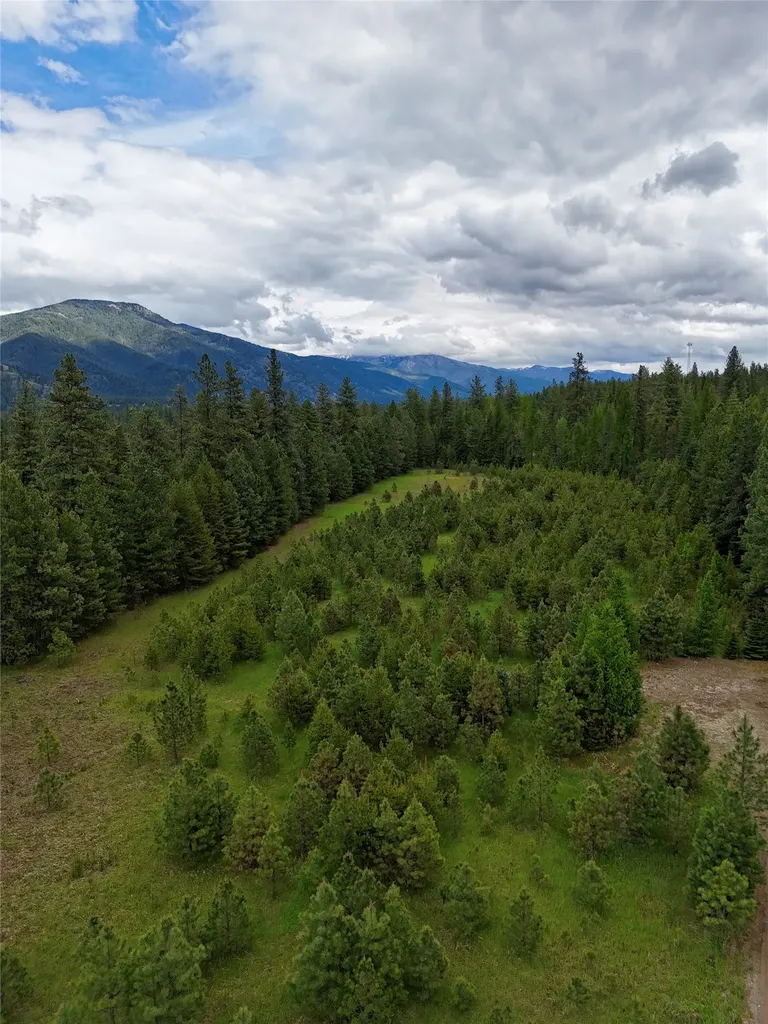7 & Nhn Old Cottonwood Lane Trout Creek MT 59874