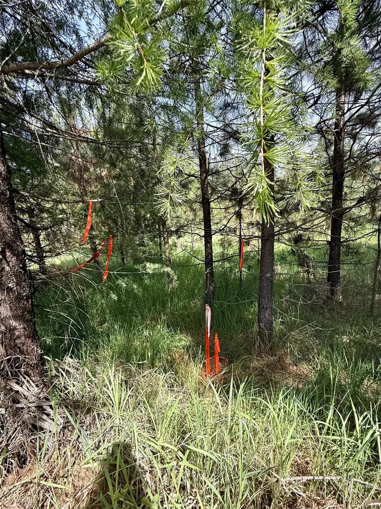7 & Nhn Old Cottonwood Lane Trout Creek MT 59874