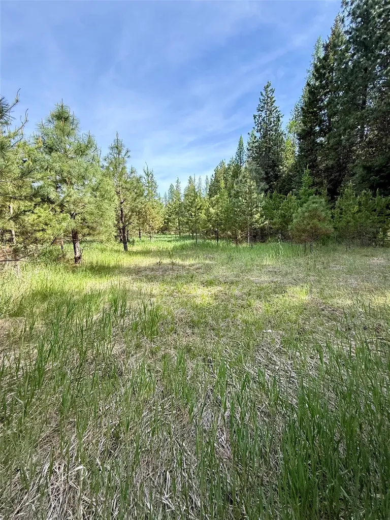 7 & Nhn Old Cottonwood Lane Trout Creek MT 59874