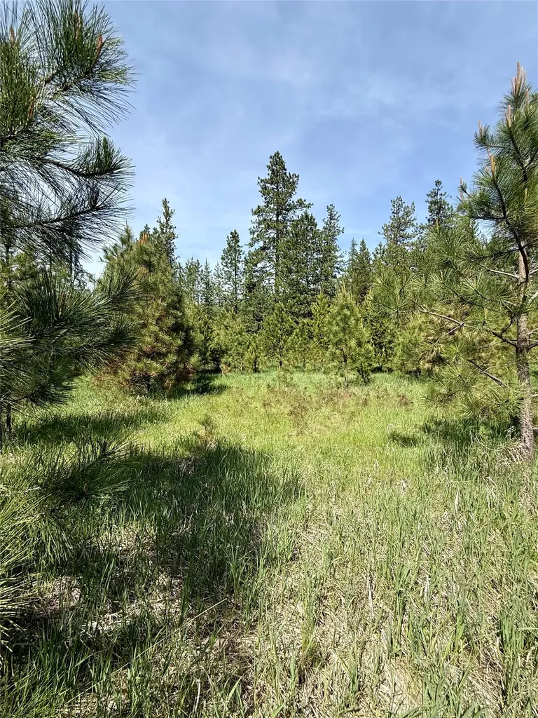 7 & Nhn Old Cottonwood Lane Trout Creek MT 59874