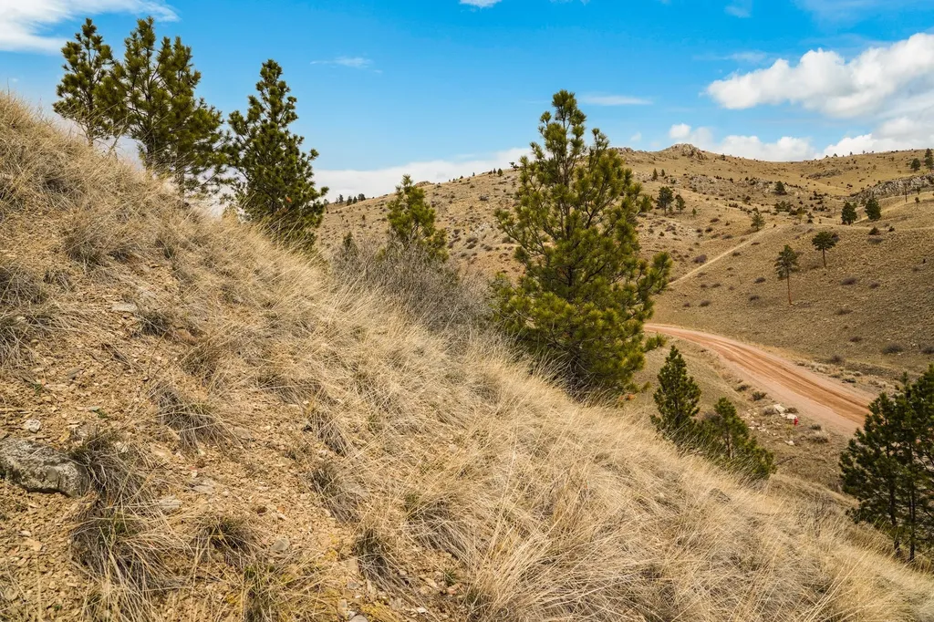 8545 Eagle View Road Helena MT 59602