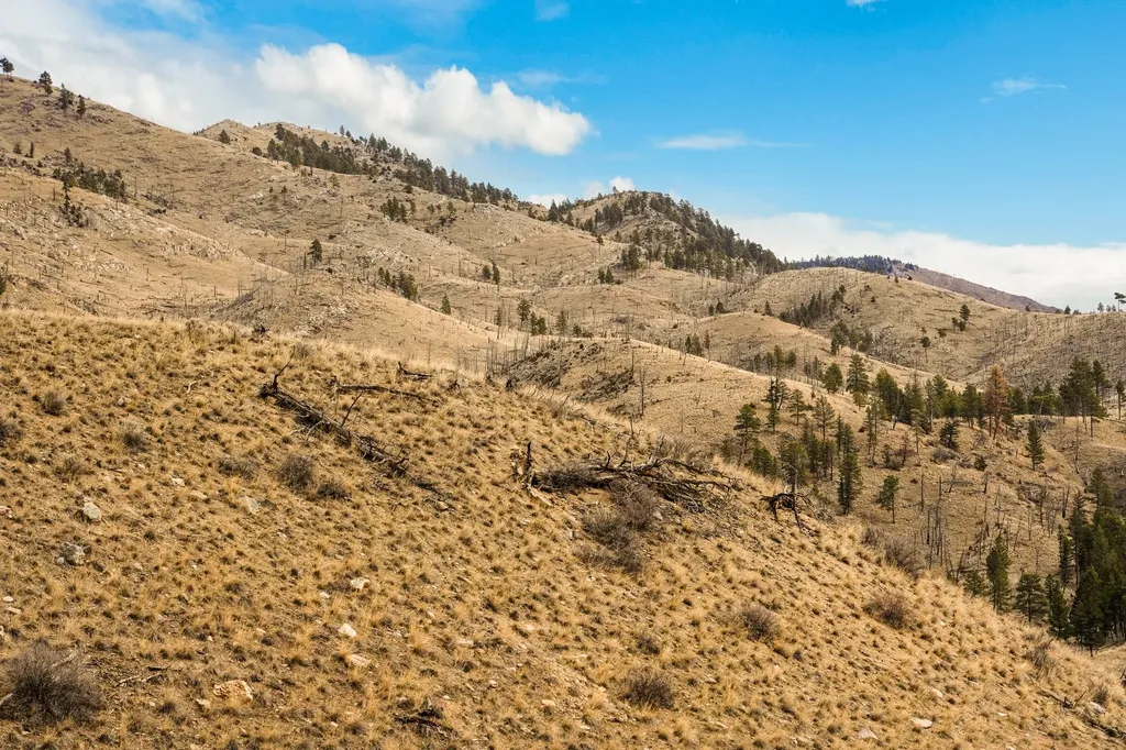 8545 Eagle View Road Helena MT 59602