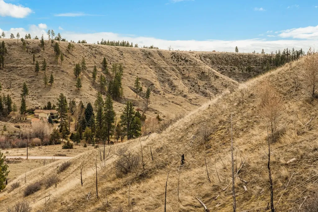 8545 Eagle View Road Helena MT 59602