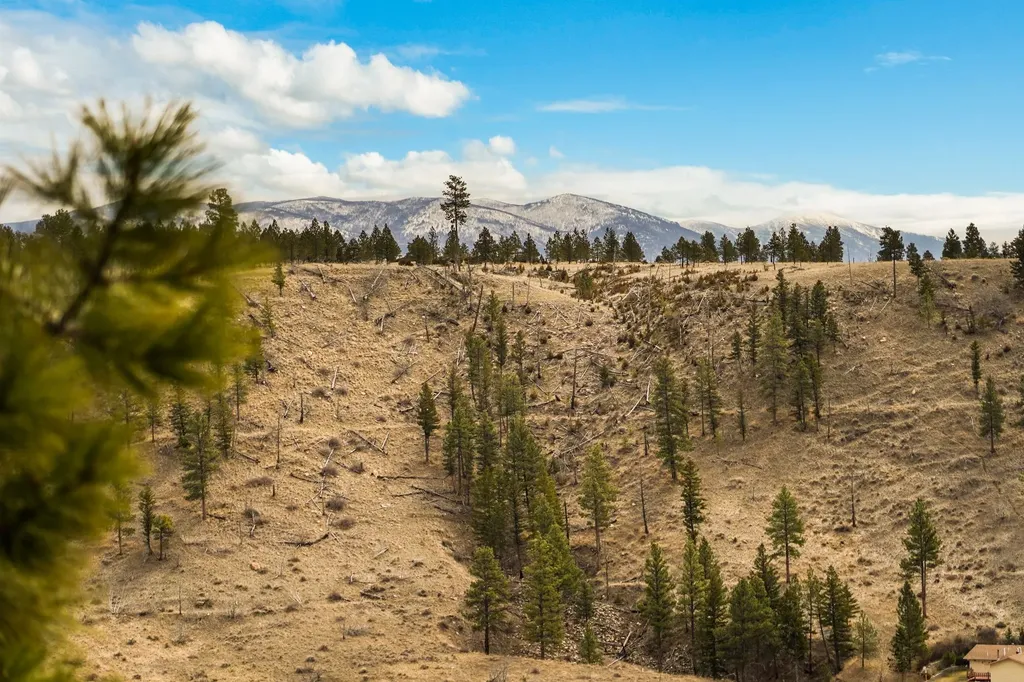 8545 Eagle View Road Helena MT 59602