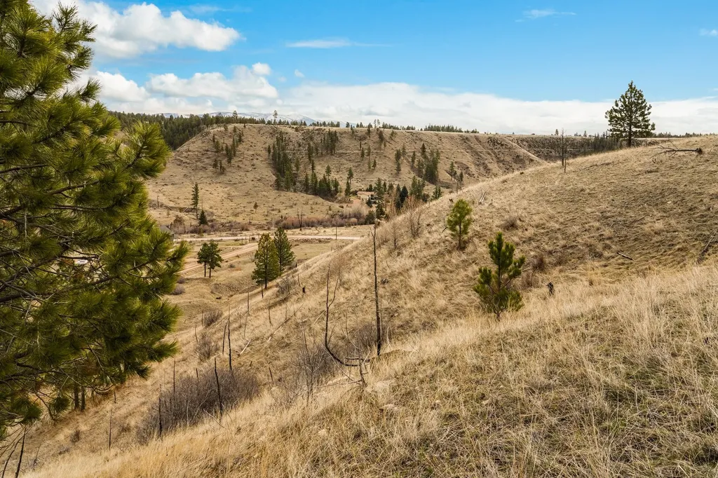 8545 Eagle View Road Helena MT 59602