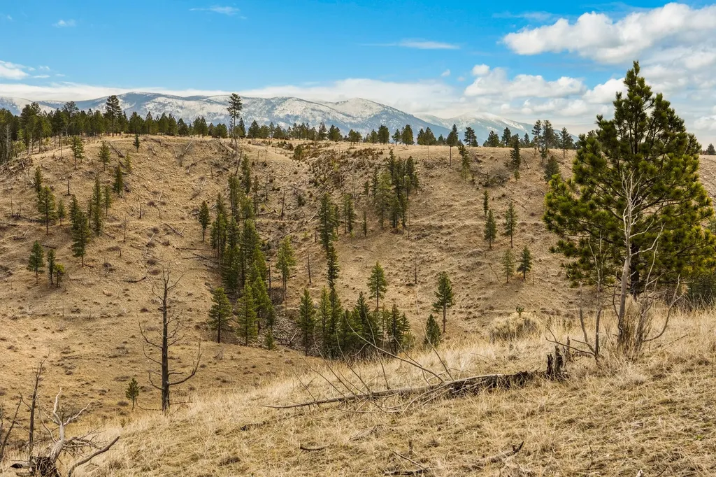 8545 Eagle View Road Helena MT 59602
