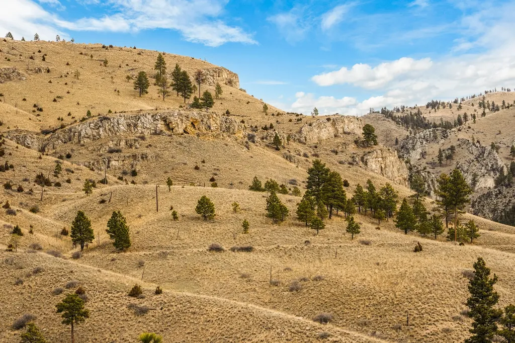 8545 Eagle View Road Helena MT 59602