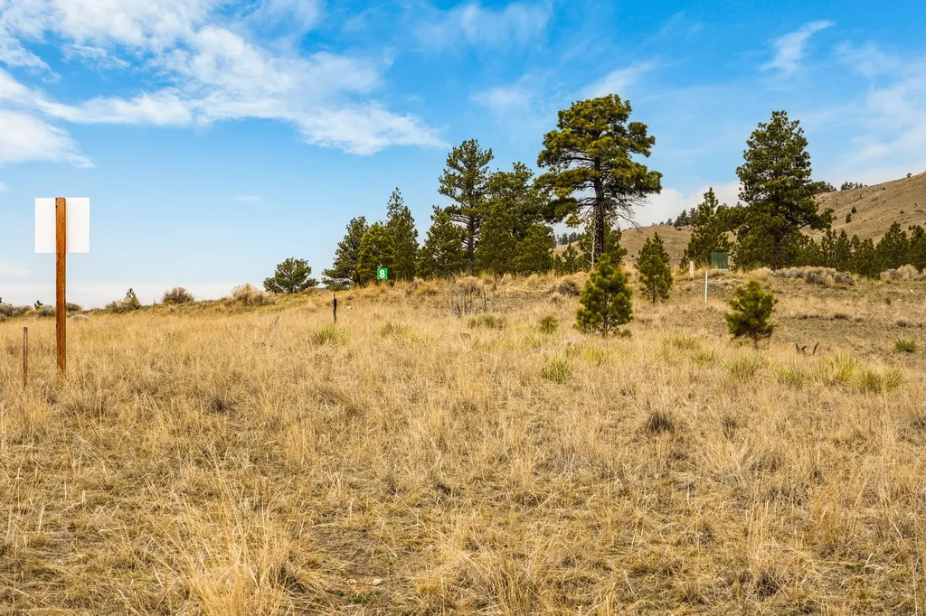 8545 Eagle View Road Helena MT 59602