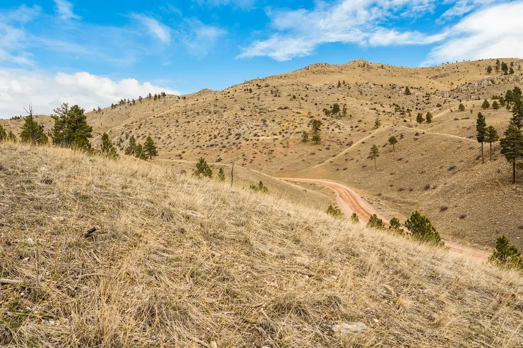 8545 Eagle View Road Helena MT 59602