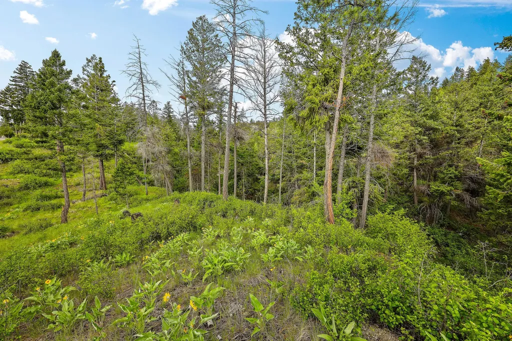 416 & 420 S Eighty Drive Somers MT 59932