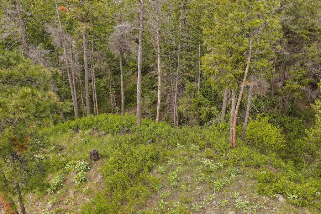 416 & 420 S Eighty Drive Somers MT 59932