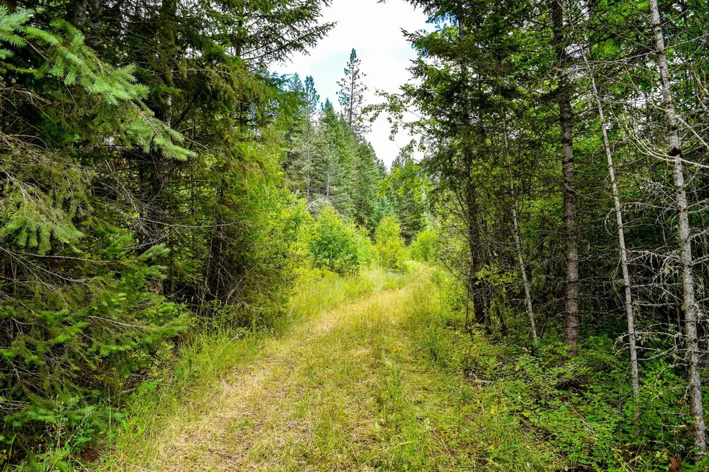 Nhn St. Mary's Lake Road St Ignatius MT 59865