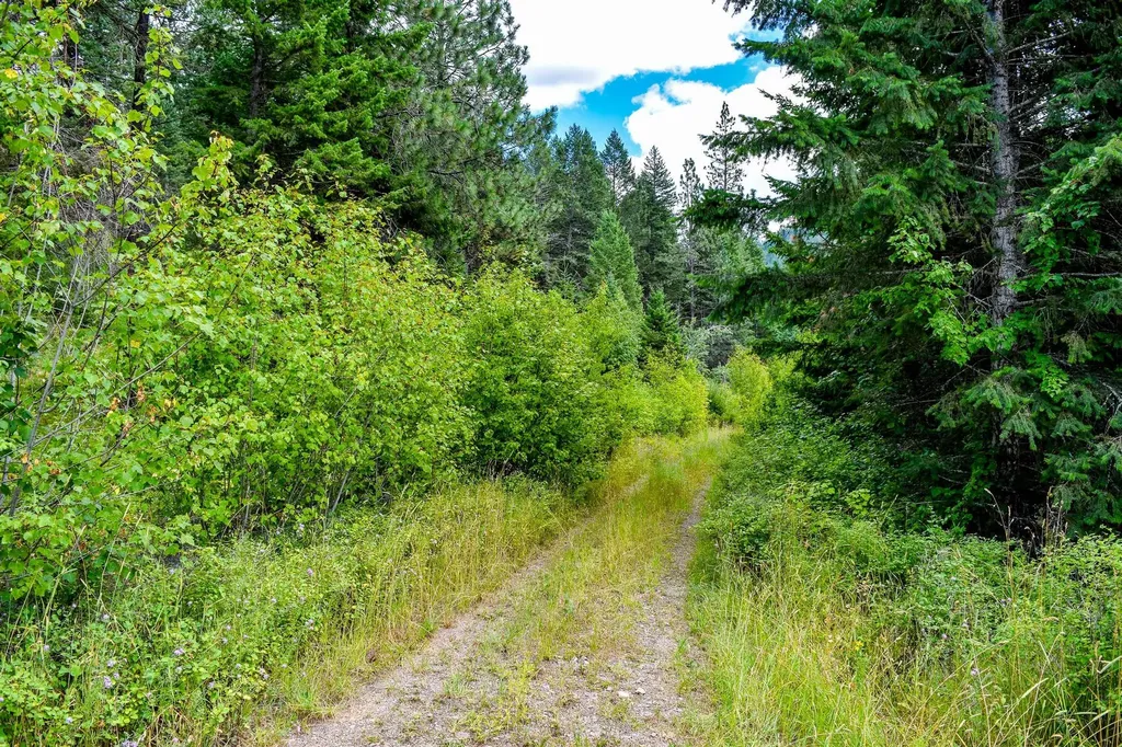 Nhn St. Mary's Lake Road St Ignatius MT 59865