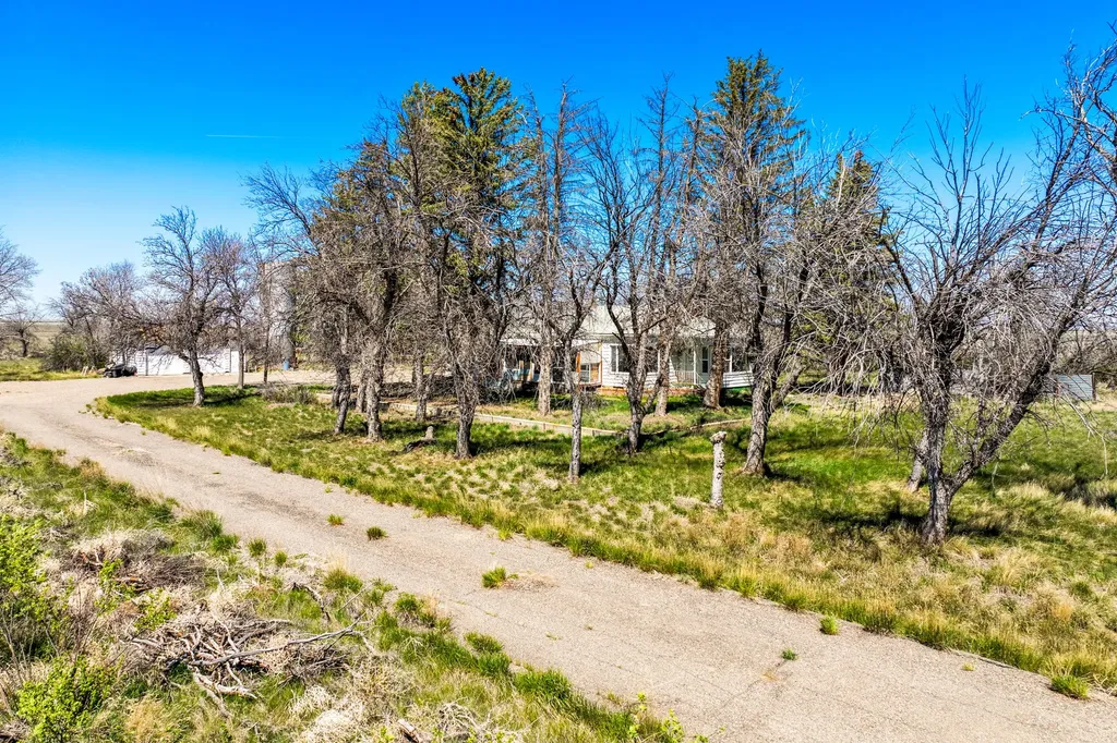 4350 Mt Highway 223 Chester MT 59522