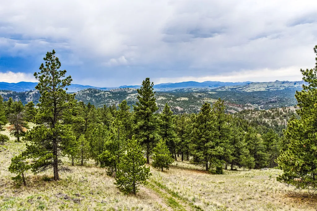Tbd Ridge Crest Lane Cascade MT 59421
