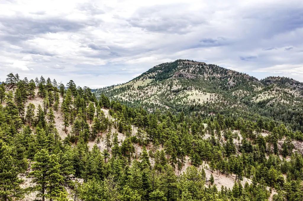 Tbd Ridge Crest Lane Cascade MT 59421