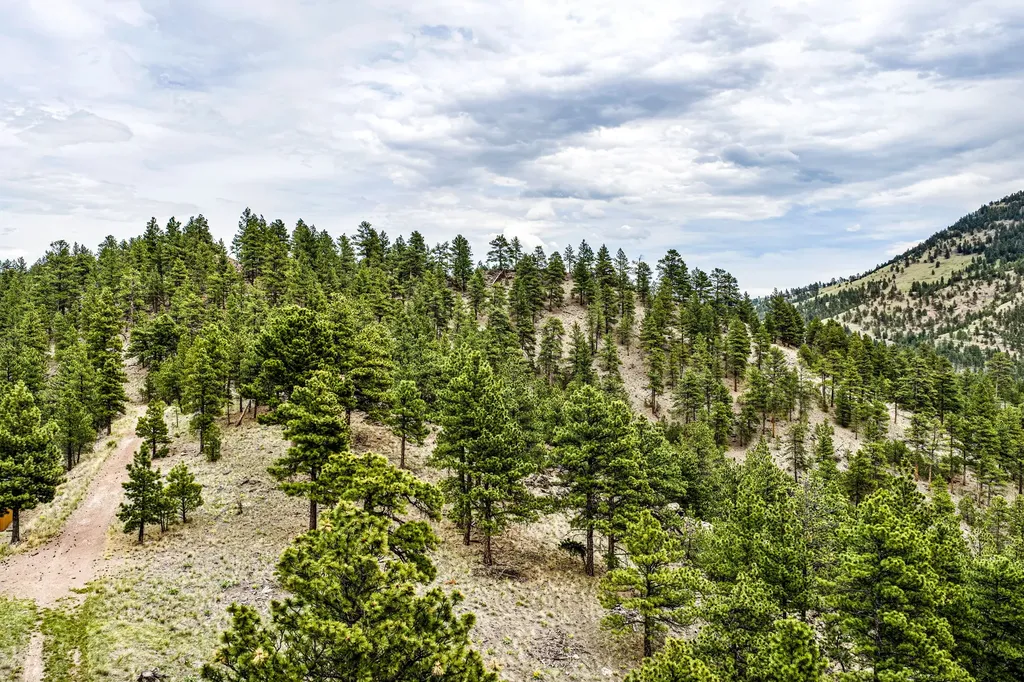 Tbd Ridge Crest Lane Cascade MT 59421