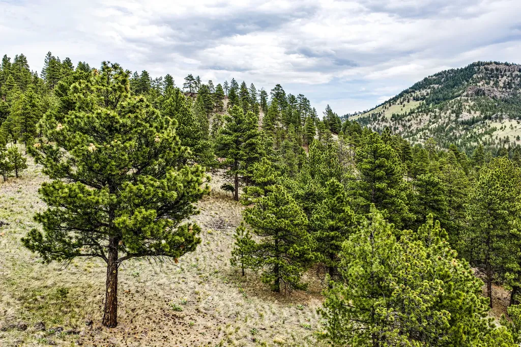 Tbd Ridge Crest Lane Cascade MT 59421