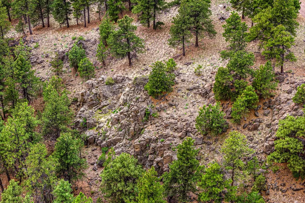 Tbd Ridge Crest Lane Cascade MT 59421