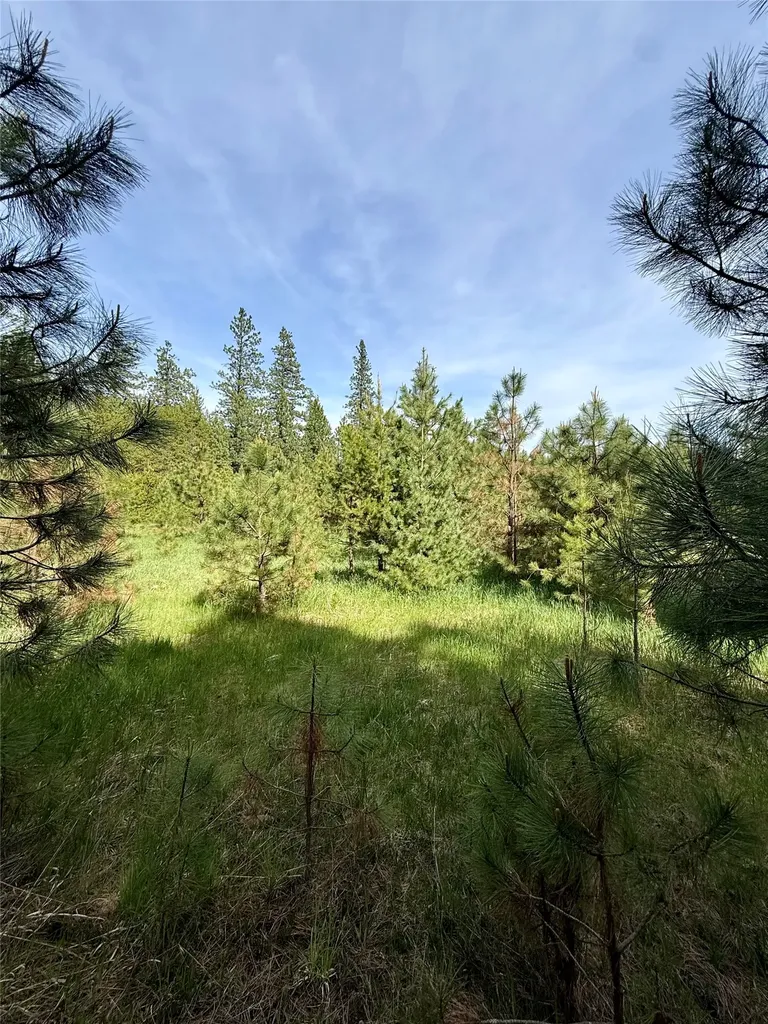Nhn Old Cottonwood Lane Trout Creek MT 59874