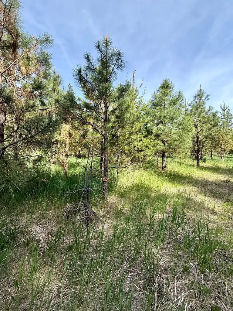 Nhn Old Cottonwood Lane Trout Creek MT 59874